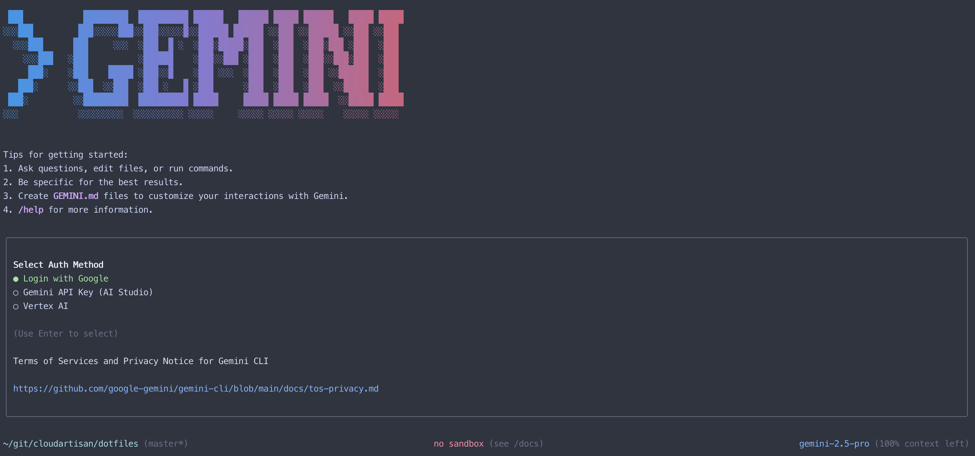Gemini CLI Authentication Options