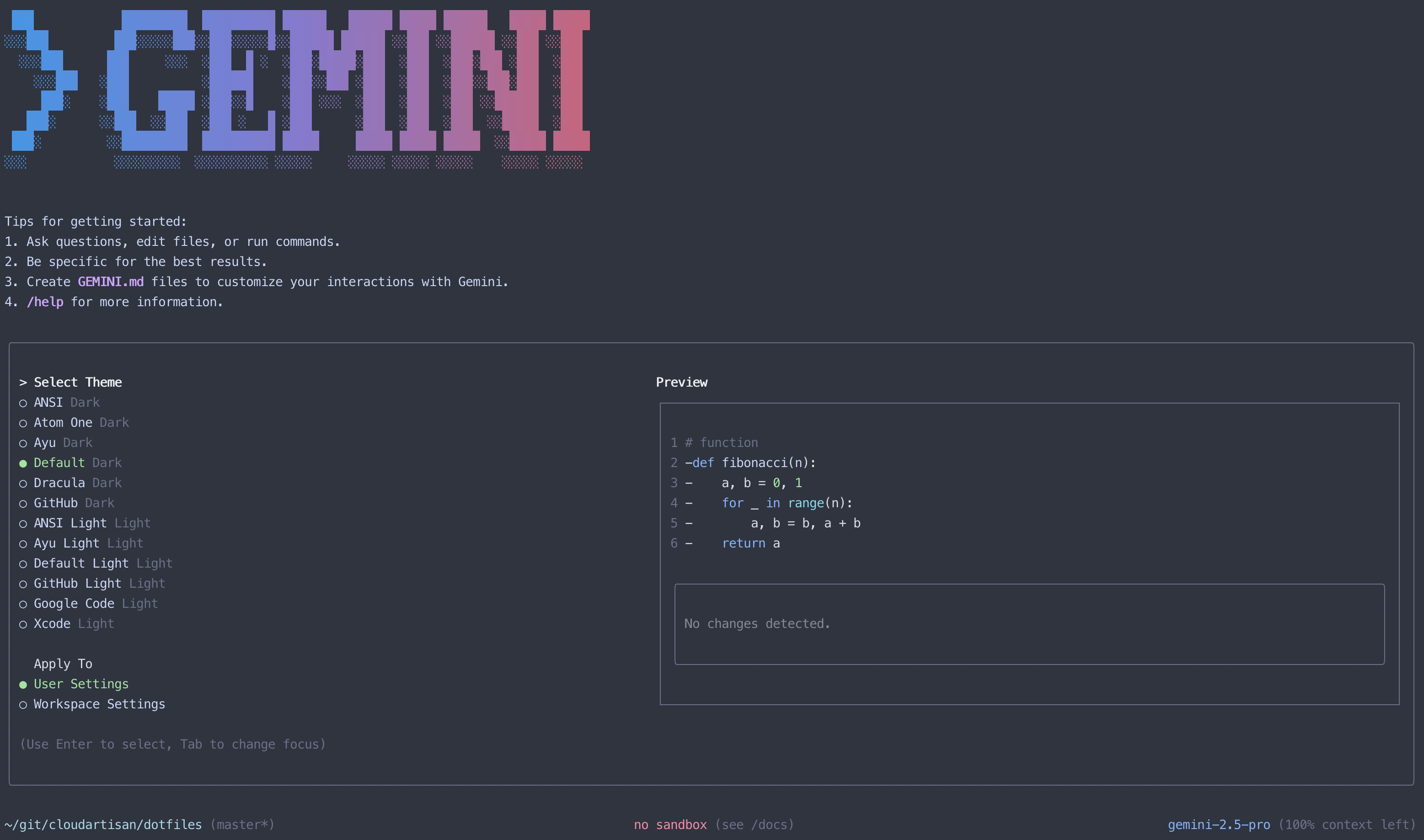 Gemini CLI First Open - Theme Selection